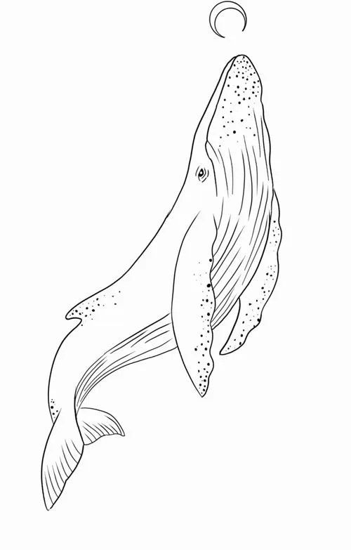 10 Hình tô màu cá voi hoạt hình thân thiện giữa sinh vật biển