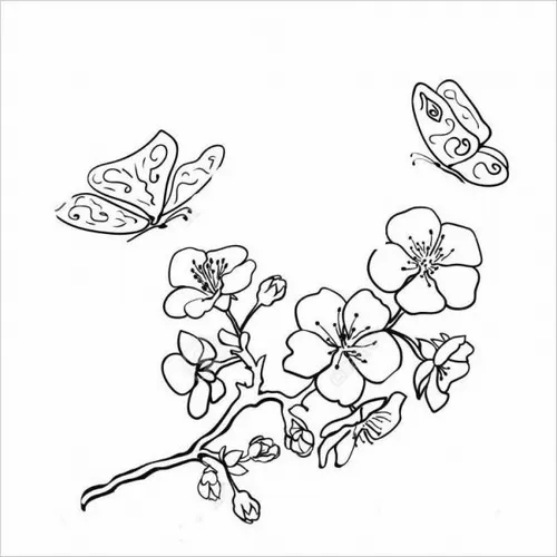5 Khơi gợi cảm xúc mùa xuân qua tranh tô màu cành đào cành mai