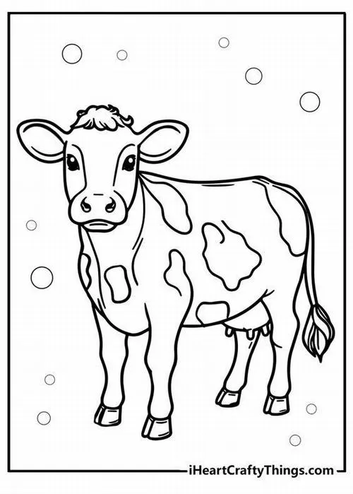Tô màu sáng tạo bò sữa màu đen trắng