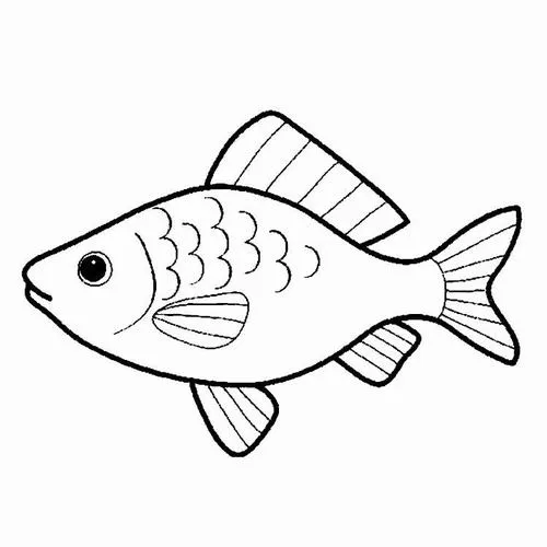 Tô màu con cá và rong biển bé vừa học vừa chơi