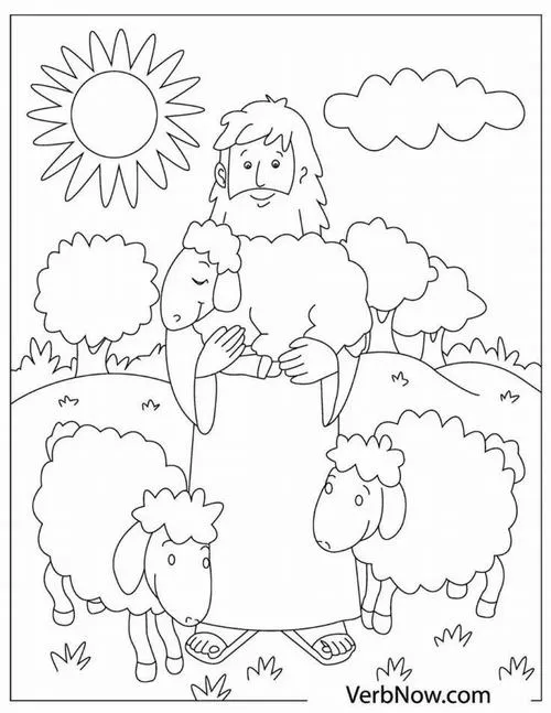 Tô màu sáng tạo con cừu bông xù mang cảm giác bình yên