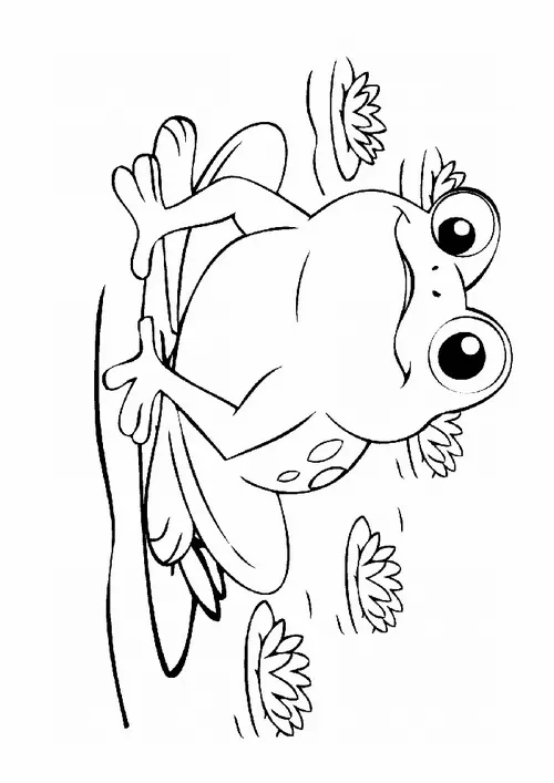 22 In hình tập tô con ếch lăn tròn trên lá súng trông đáng yêu