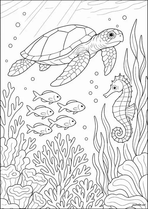 Trang tô màu rùa hoạt hình vui nhộn cho bé