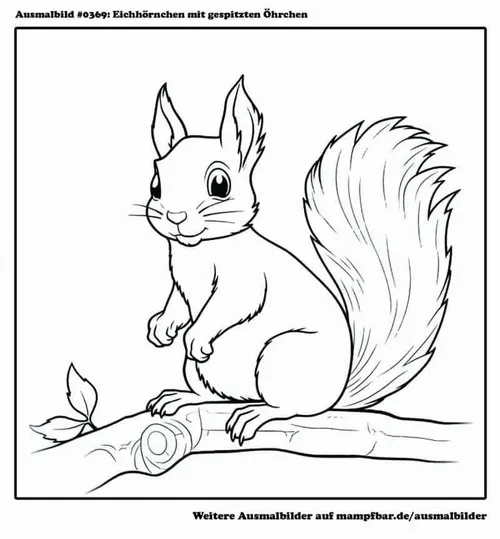 3 Hình tô màu sóc bé ôm hạt dẻ trên cành cây xanh