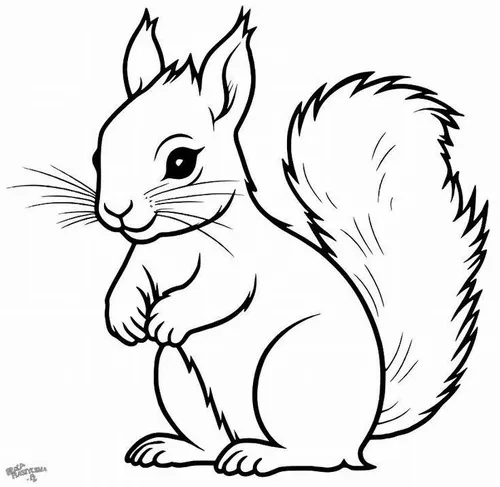 4 Những trang tô màu con sóc sinh động cho bé mê động vật rừng