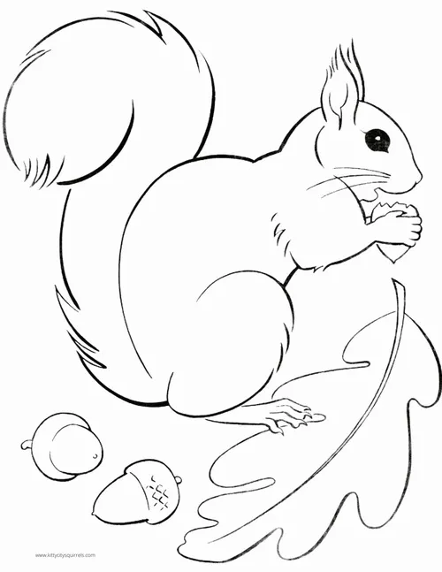 8 Những mẫu tô màu con sóc dễ thương dành cho giờ chơi cuối tuần