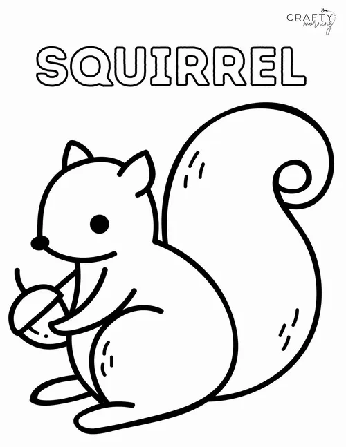 9 Tô màu con sóc nhỏ nhắn giúp bé tăng tập trung mỗi ngày