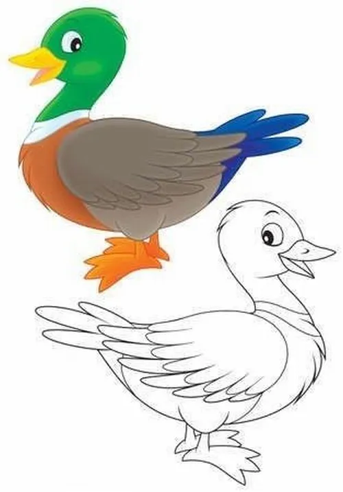 Tập tô màu con vịt với đường nét dễ thương phù hợp trẻ nhỏ Tập tô màu con vịt với đường nét dễ thương phù hợp trẻ nhỏ