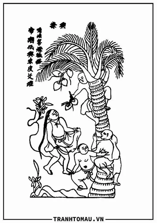 25 Trang tô màu hứng dừa giúp bé học truyền thống