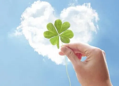 Ảnh đại diện cá nhân cỏ 4 lá thể hiện niềm tin cá nhân