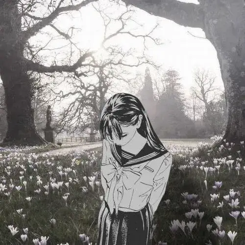 Ảnh profile cô đơn sau chia tay cho tâm trạng muốn biến mất