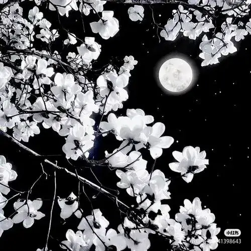 Ảnh avatar Facebook tang lễ đen gợi văn hóa để tang kín đáo