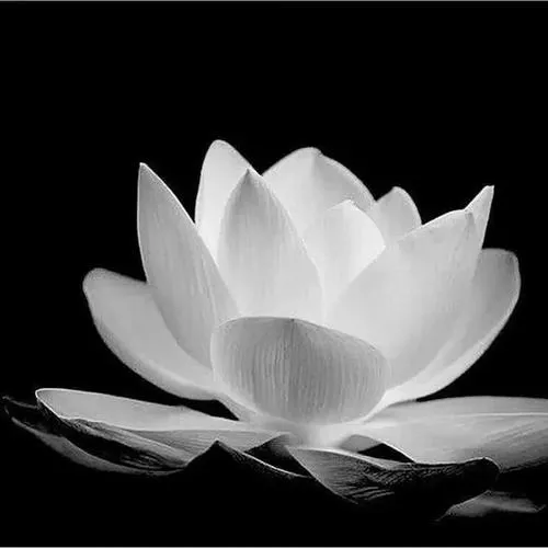 Không gian tang lễ tối màu thể hiện trầm tĩnh sâu xa