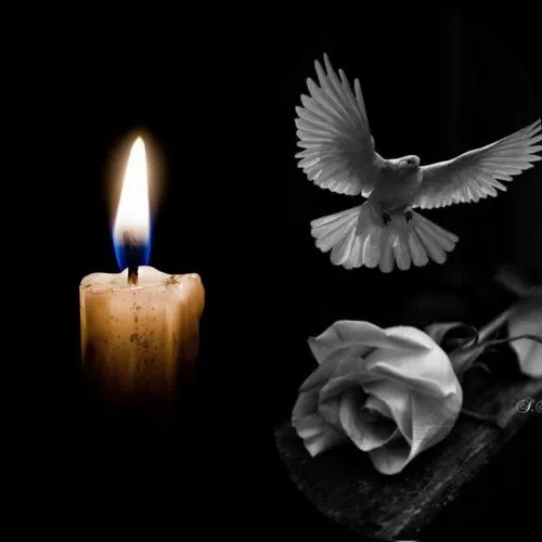 Khung cảnh tang lễ lặng yên bao trùm bóng tối sâu lắng