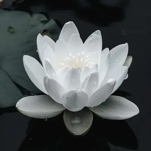 Khung hình đám tang yên ắng với bố cục cân đối