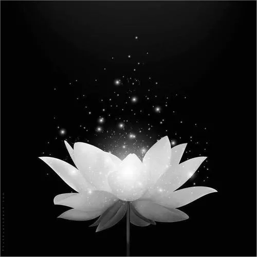 Avatar dễ thương tông đen vẫn giữ sự tôn trọng cần thiết