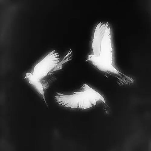 Bố cục tĩnh trong đám tang nhấn sự mất mát