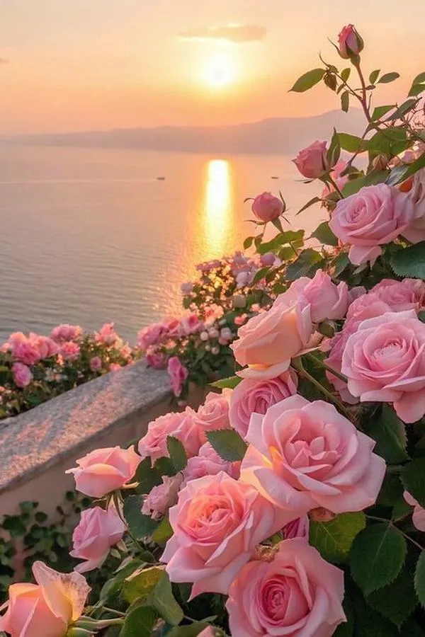 16 Ảnh nền lavender phong cách hiện đại, loang màu nhẹ, phù hợp gu tối giản nhưng vẫn có điểm nhấn