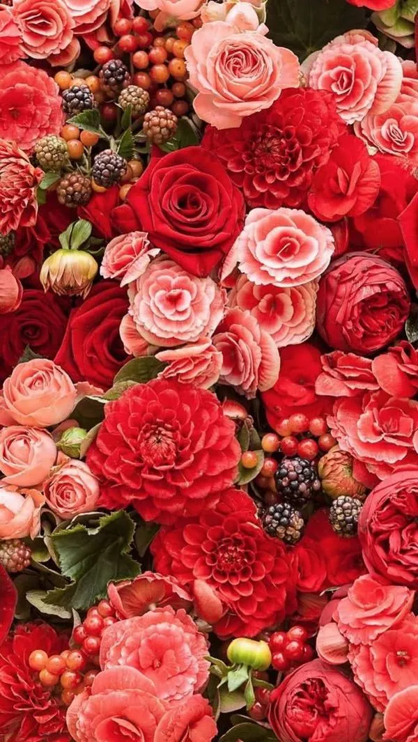 Một bông hồng đỏ trên bãi biển hoàng hôn, ánh vàng, hợp làm nền tâm trạng.