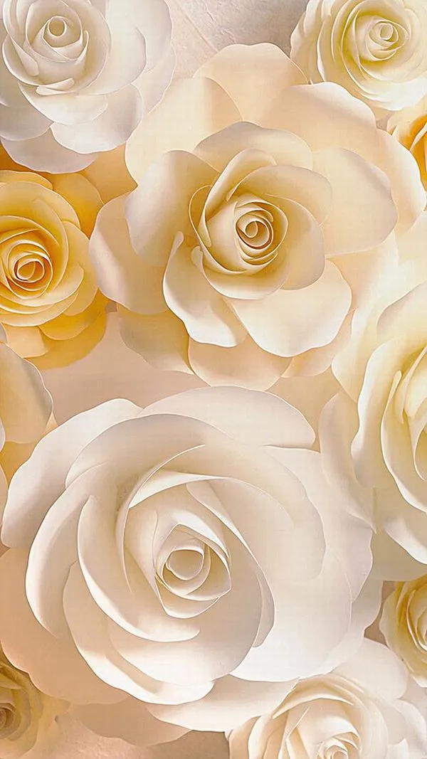 Hồng trắng tông trắng ngà xếp lớp, đường vân cánh hoa mịn, hợp đặt màn hình làm việc