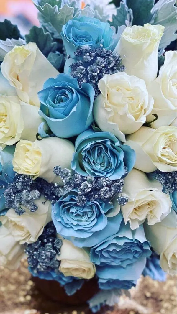 Cụm hoa hồng sắc xanh phối trắng dày cánh tạo vẻ độc bản hợp ảnh đại diện và nền máy