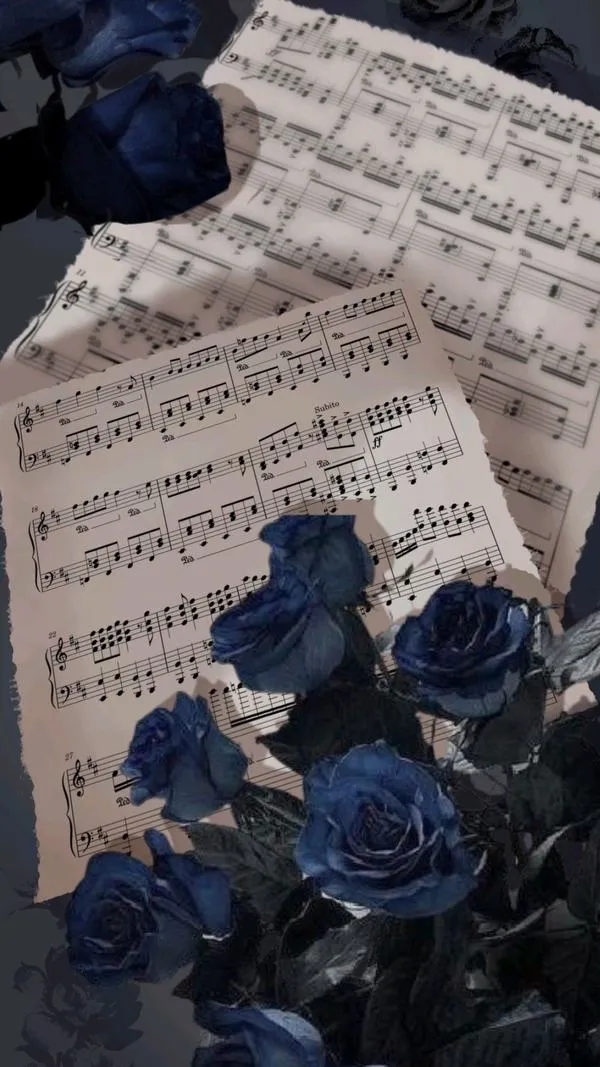 Hoa hồng xanh đậm đặt trên bản nhạc gợi thủy chung với ánh sáng mềm êm mắt