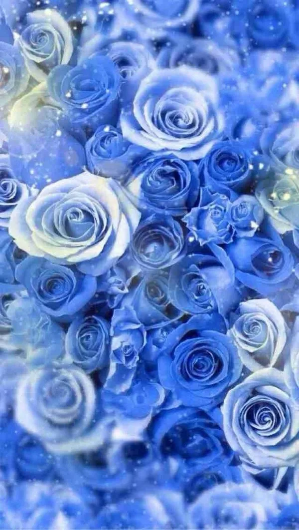 Hoa hồng xanh lam phủ ánh lấp lánh tạo chiều sâu hợp người thích phong cách kỳ ảo