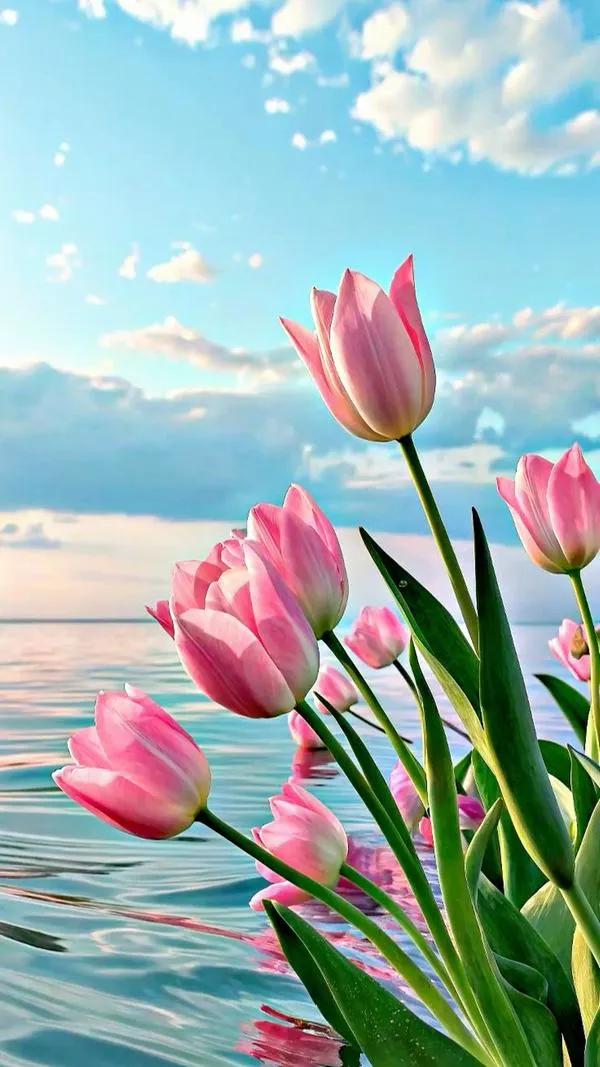 28 Ảnh nền tulip xanh nhạt, tông pastel giúp mắt thư giãn khi học tập