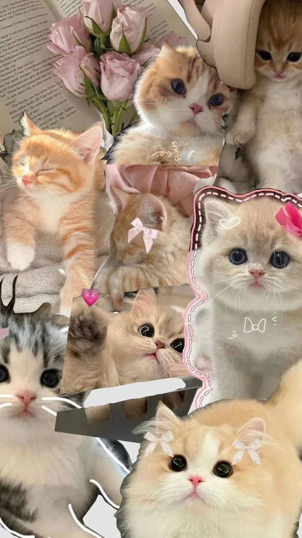 28 Tải ảnh nền có vân kim loại, ánh sáng cứng, tạo cảm giác sang, hợp phong cách lạnh.