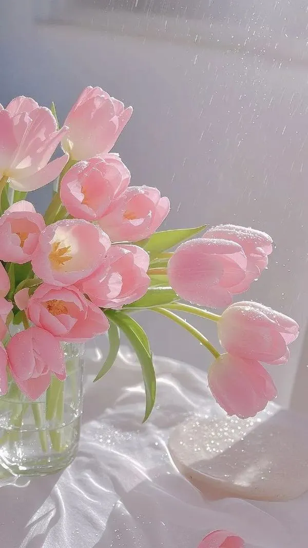 46 Hình nền đt tulip pastel, vibe chill nhẹ giúp bạn tập trung và bớt căng