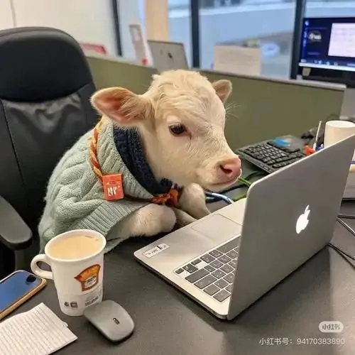 103 Ảnh Avatar Hài Hước Lầy Lội đậm chất meme cho hội thích tấu hài cà khịa trên MXH