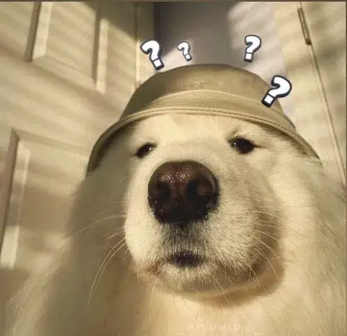 56 Chim cánh cụt đi bộ trên vỉa hè với chiếc balo mini sau lưng nhìn như một nhân viên văn phòng trong kho ảnh đại diện độc lạ.