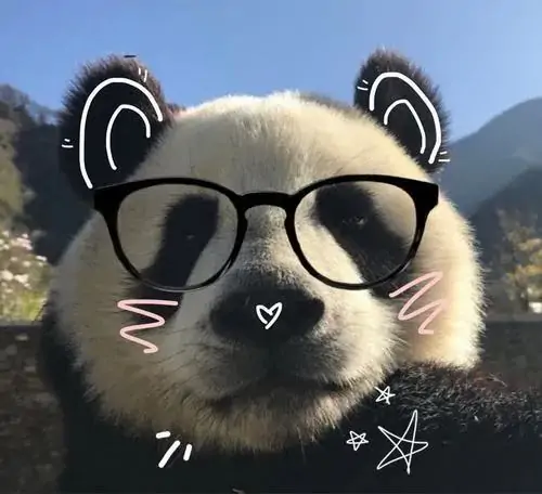 40 Chú gấu bằng len xù ngồi trên yên xe đạp bạc, giỏ trước cắm vài cành cúc nhỏ và nền trời sáng trong, tạo cảm giác cuối tuần thong thả rất đẹp