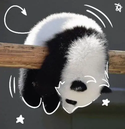 44 Chú gấu mô hình gỗ nhỏ đứng cạnh chậu xương rồng trên bàn làm việc, nét mặt đơn giản và màu nâu sáng hợp một avatar gấu xinh theo kiểu tối giản sạch mắt