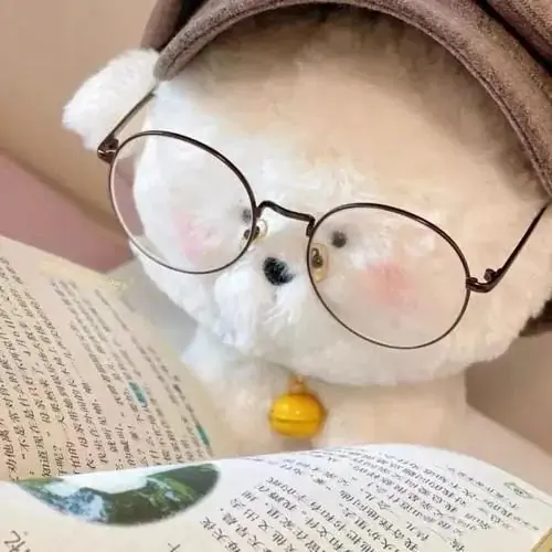 35 Gấu bông lông ngắn màu mật ong nằm trên ga giường trắng, một bàn chân đặt lên chiếc đồng hồ nhỏ tạo nên khung hình mềm mại, vừa cute vừa hợp làm ảnh đại diện