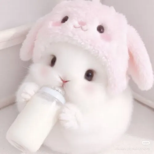 120 Ảnh Avatar Con Thỏ cute với đôi tai dài mắt tròn và vẻ dễ thương làm sáng bừng trang cá nhân