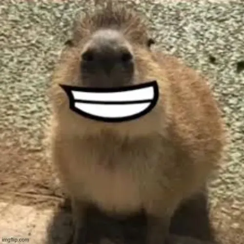 72 Ảnh Avatar Capybara Vô Tri hài hước lầy lội vừa tấu hài vừa thể hiện cá tính không quan tâm sự đời