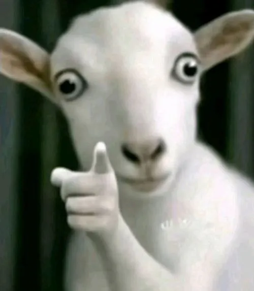 140 Ảnh Avatar Vô Tri Meme Hài Bựa nhìn là buồn cười cực hợp giới trẻ thích cà khịa