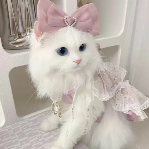 56 55
