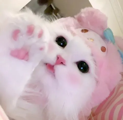 87 86