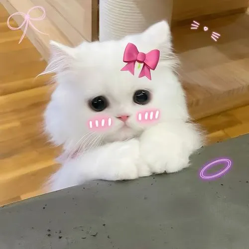 69 68
