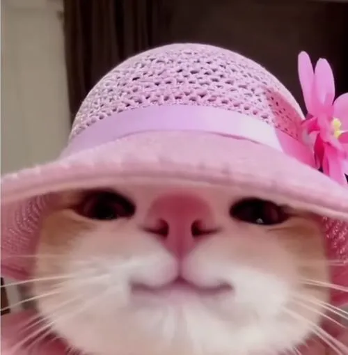 75 74