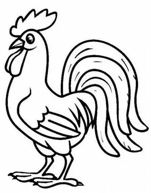 16 15