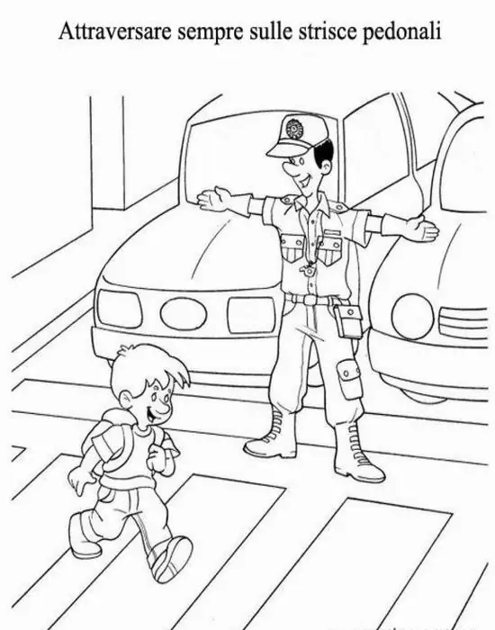 82 81