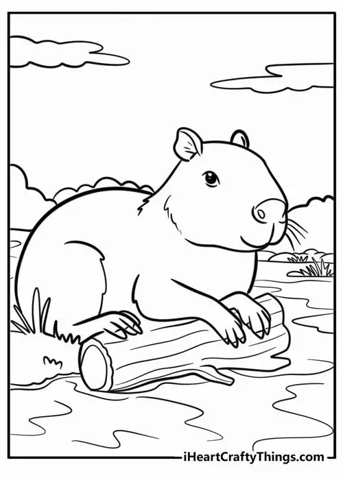 73 72