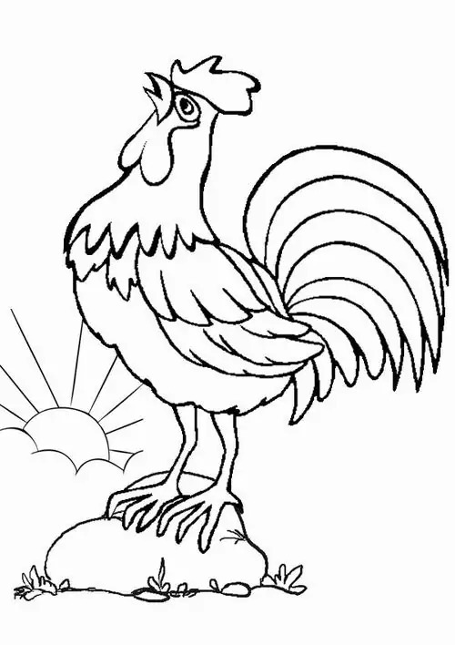 32 31