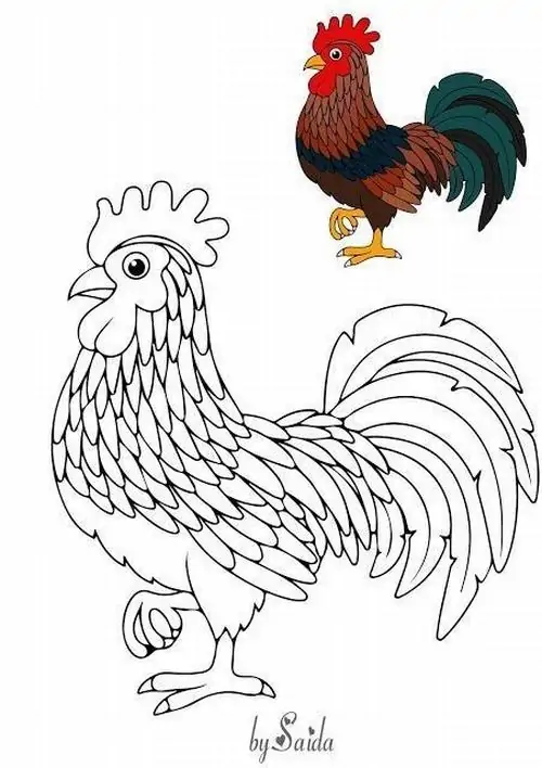 34 33