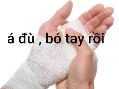 45 Ảnh Bó Tay Bất Lực Meme Đậm Chất Gen Z Giúp Bạn Kết Nối Bạn Bè Dễ Hơn
