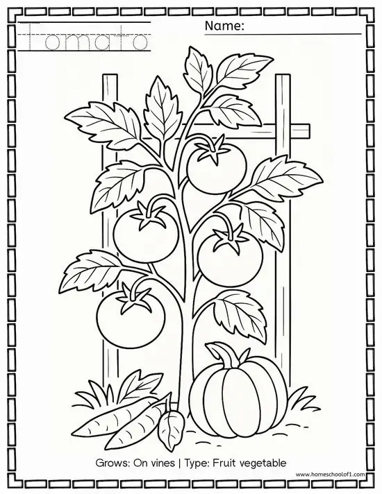 71 70