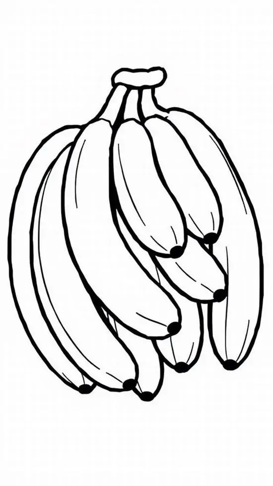 27 26